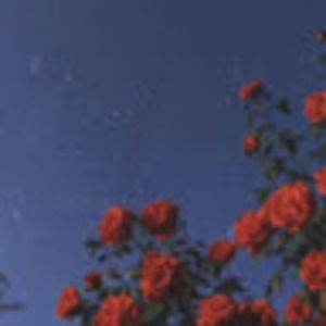 Meet your Posher, Mallika